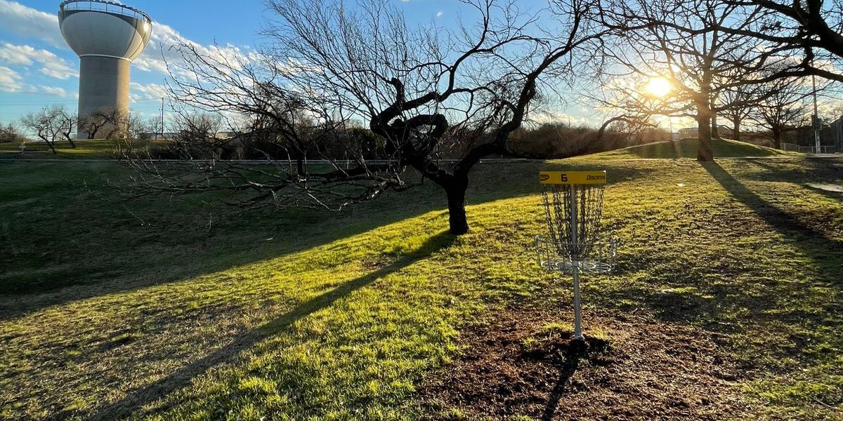 "Benefiting Austin Pets Alive!"  The Dogs and Dubs Classic 2025!