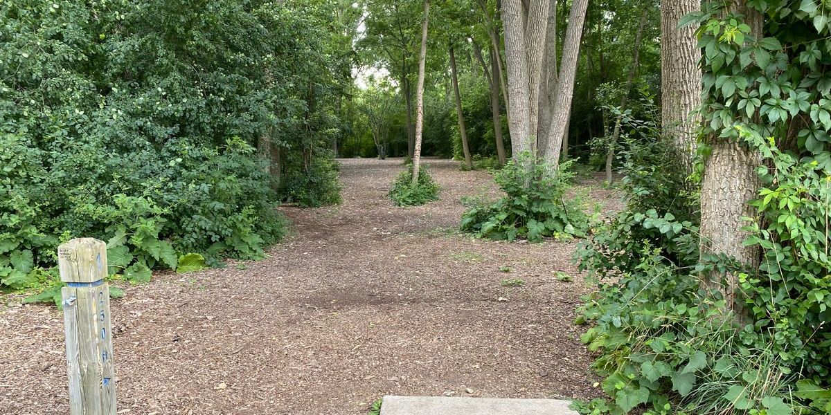 Space Race, Meteor Madness