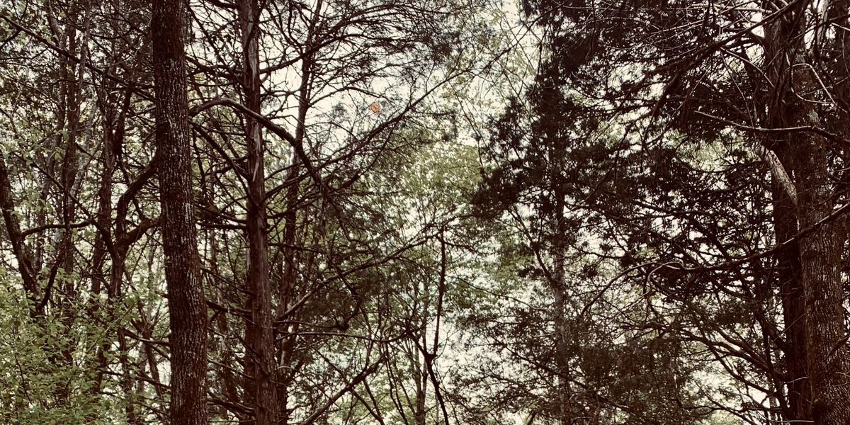 Ice Bowl - Warriors Path State Park