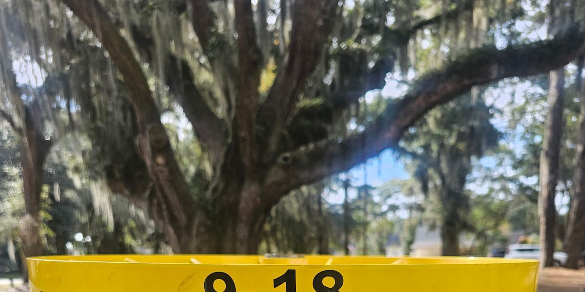 2026 Jrs battle at Wilmington Island