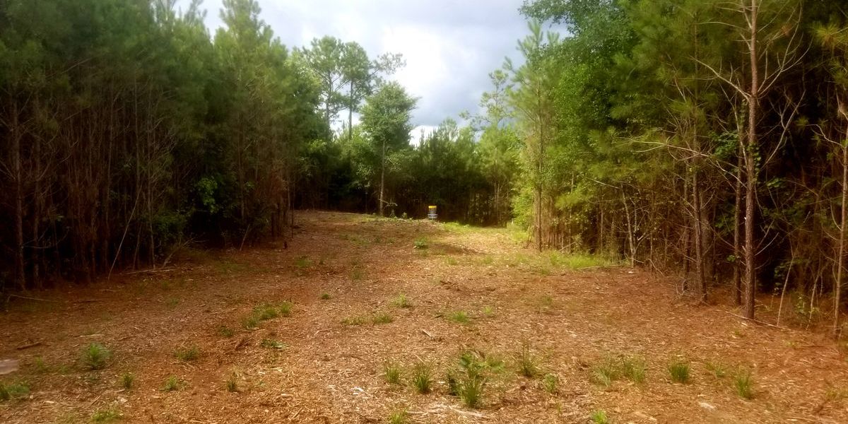 2nd Annual Sprung Heel Classic Open Invitational (You’re Invited) Tournament!