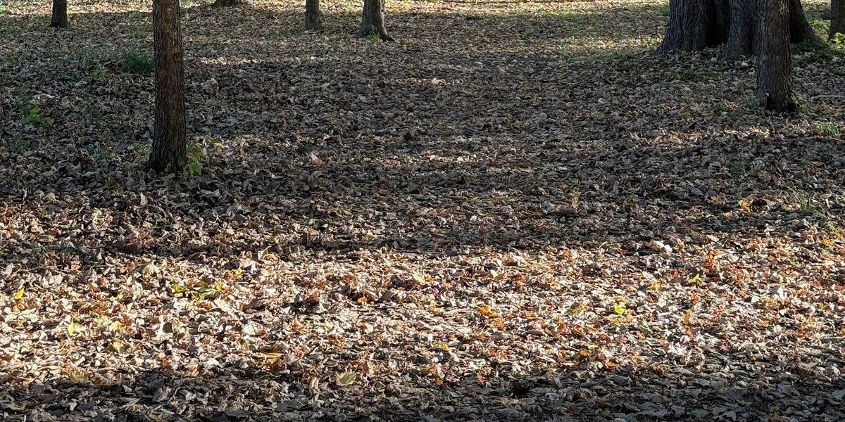 2026 SRDGC Bag Tag Opener