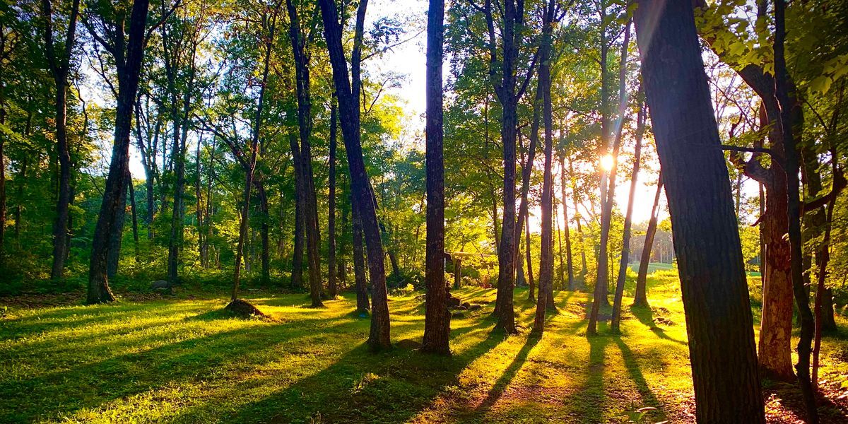 Learn to Hunt Program