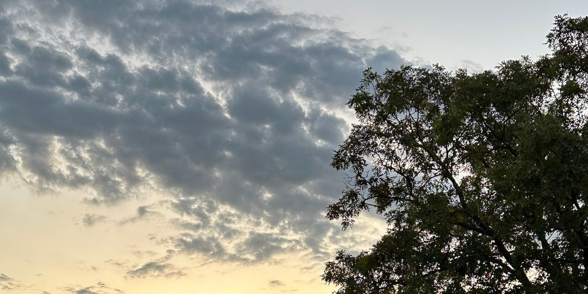 2026 Power Disc Golf Academy Championship Series Qualifier - Rothwell Park