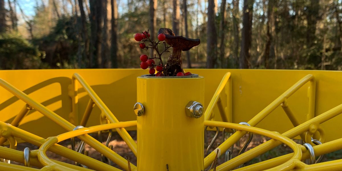 NEW YEARS DAY- BYOP DOUBLES ON DOGWOOD