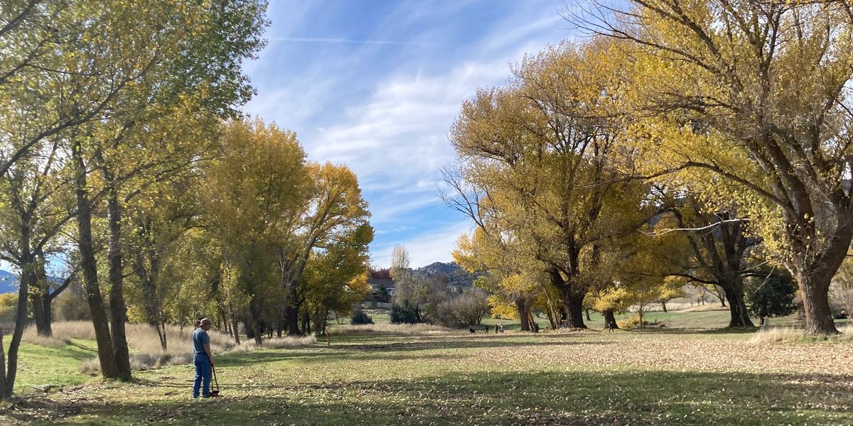 TDGC January Tournament