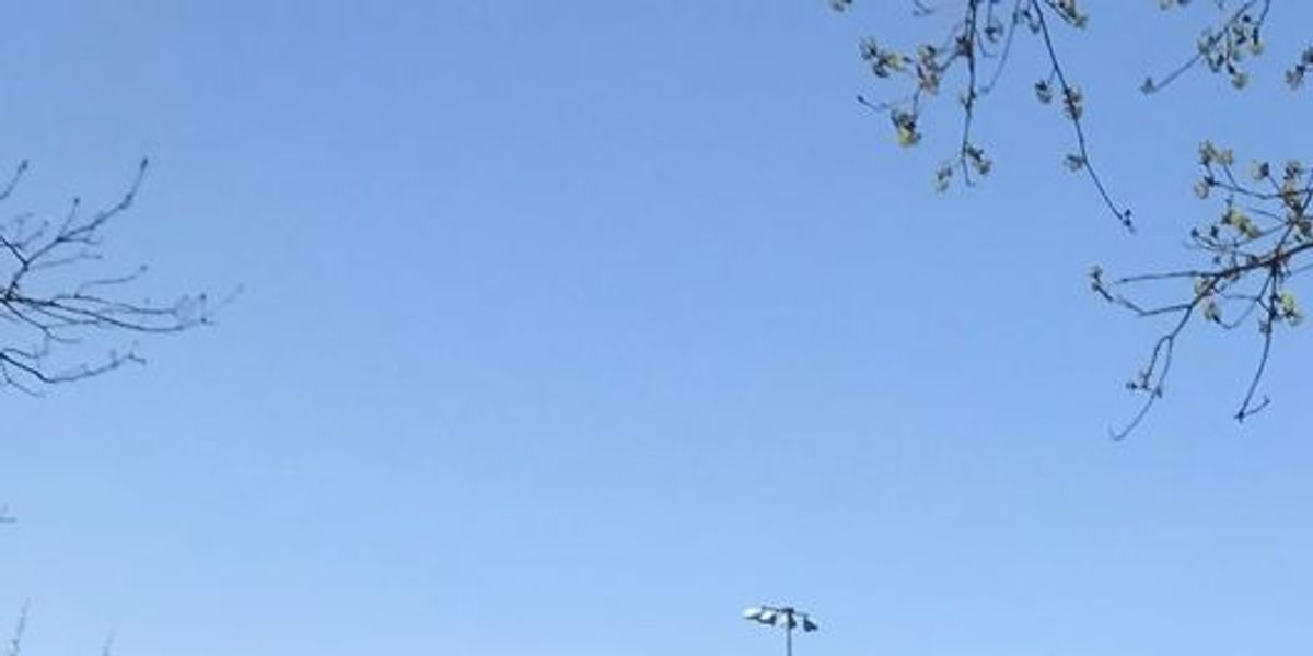 Walzy Disc Golf League April