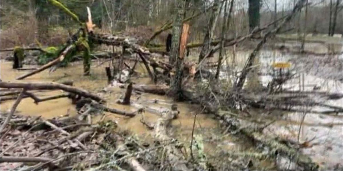 Riverside Flood cleanup