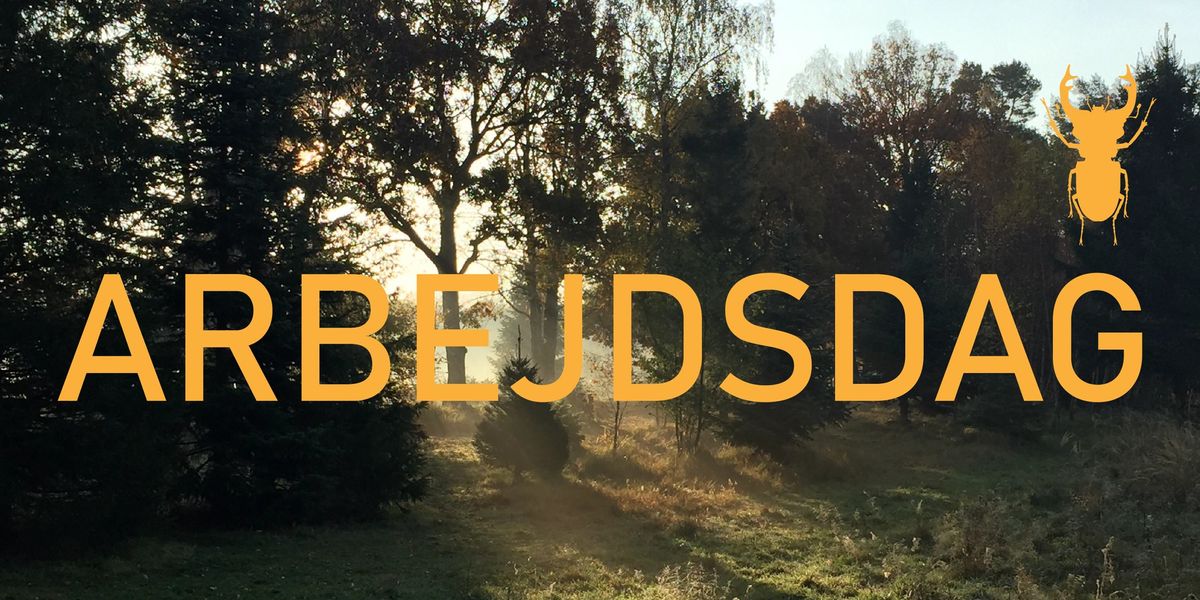 ARBEJDSDAG