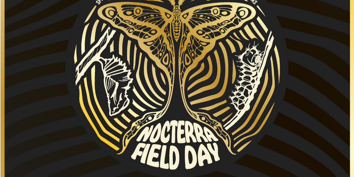 Nocterra Field Day