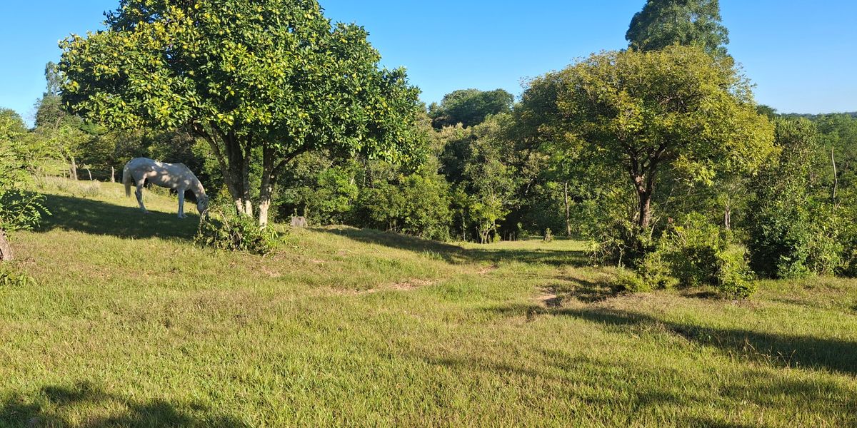 PARAGUAY Open DOUBLES Championship 2026 with RPM.