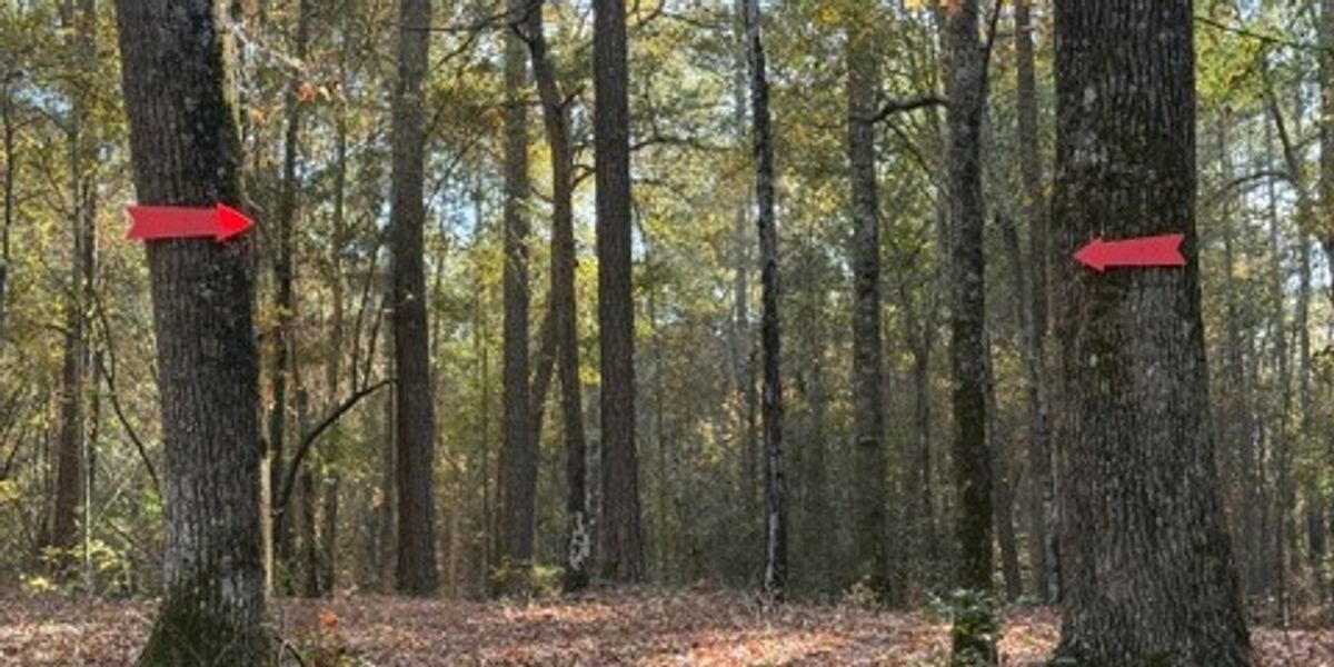 2025 Manic Mando @ Hinson Lake