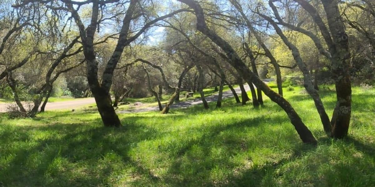 G.A.P. Systems Invitational: Live-Fire R&D Beta