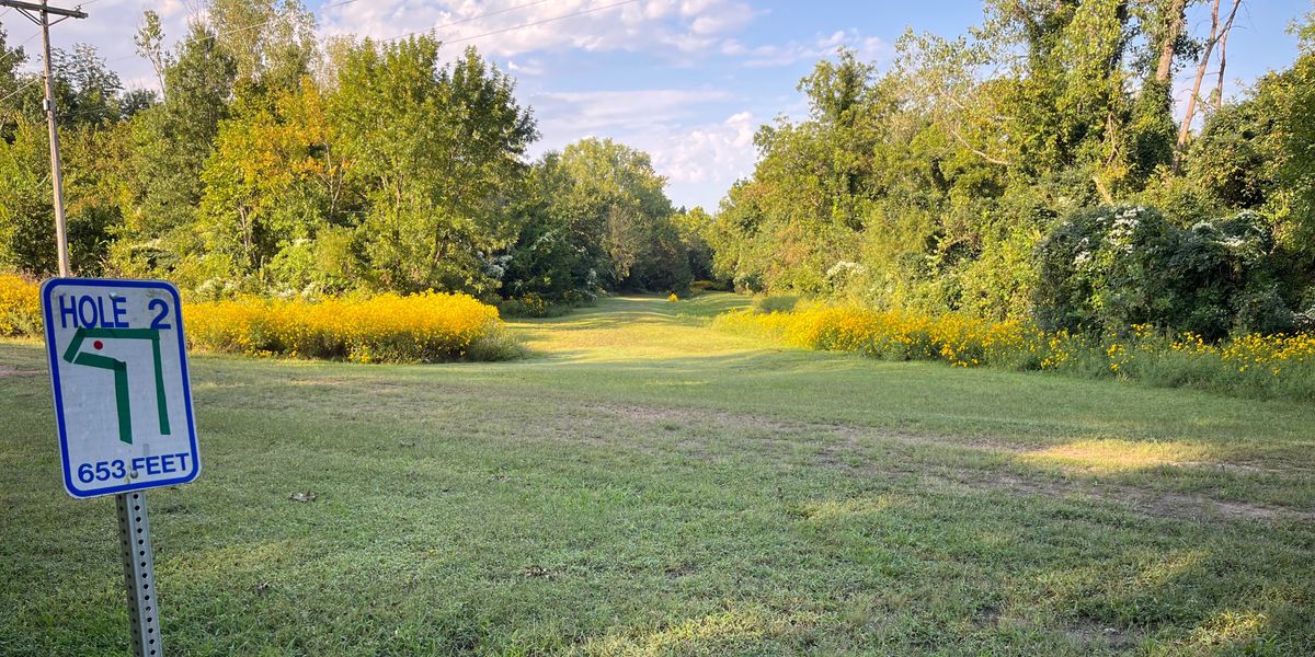 Yoga On The Disc Golf Course