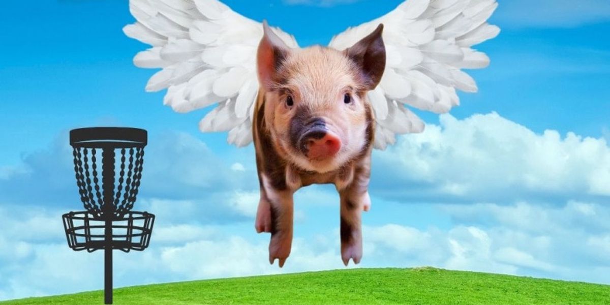 LPSA One Disc - When pigs fly