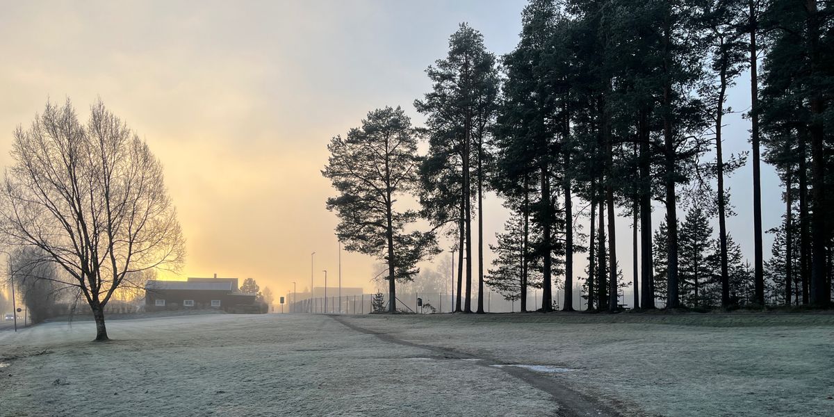VinterLiga 2025-2026 | Stjørdal - VinterLiga 2025-2026 | Stjørdal Frisbeeklubb