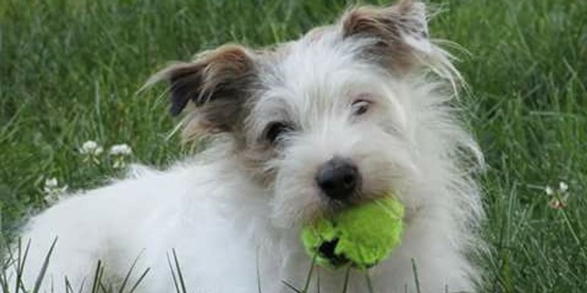 9th Annual Marvin Memorial