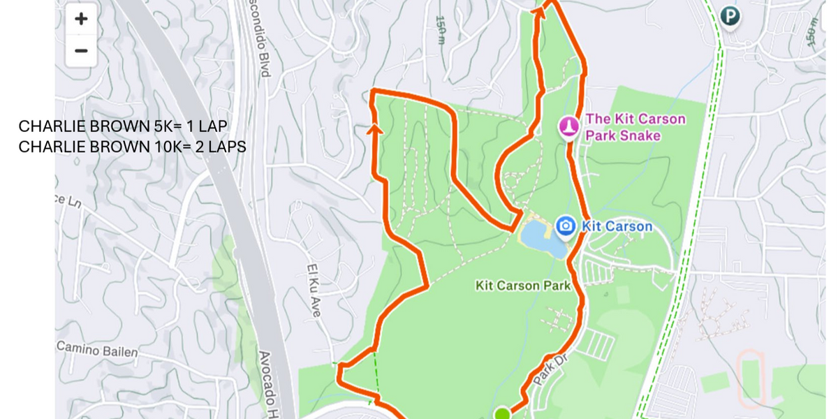 A Charlie Brown Christmas 5k/10k and Run