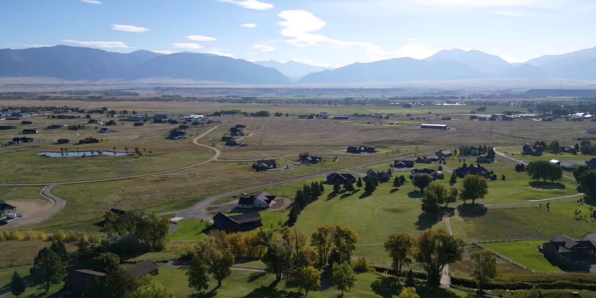 Random Draw Doubles - WBO XI