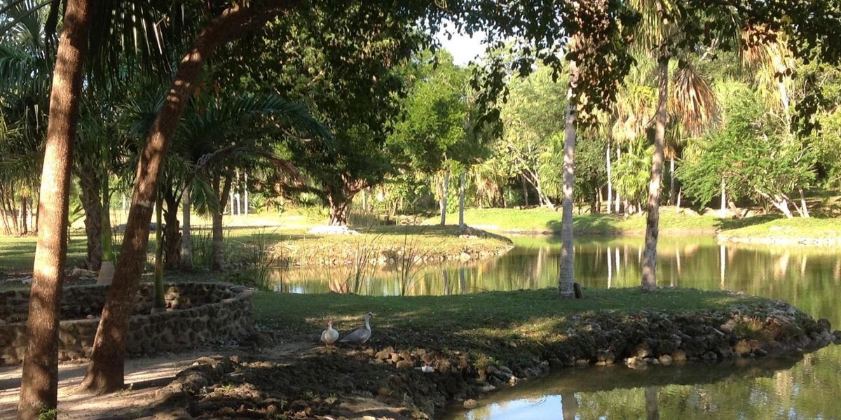 Turkey Shootout 2025