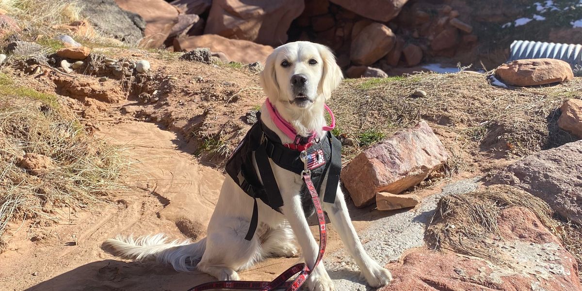 GEORGIA BIRTHDAY TOURNEY