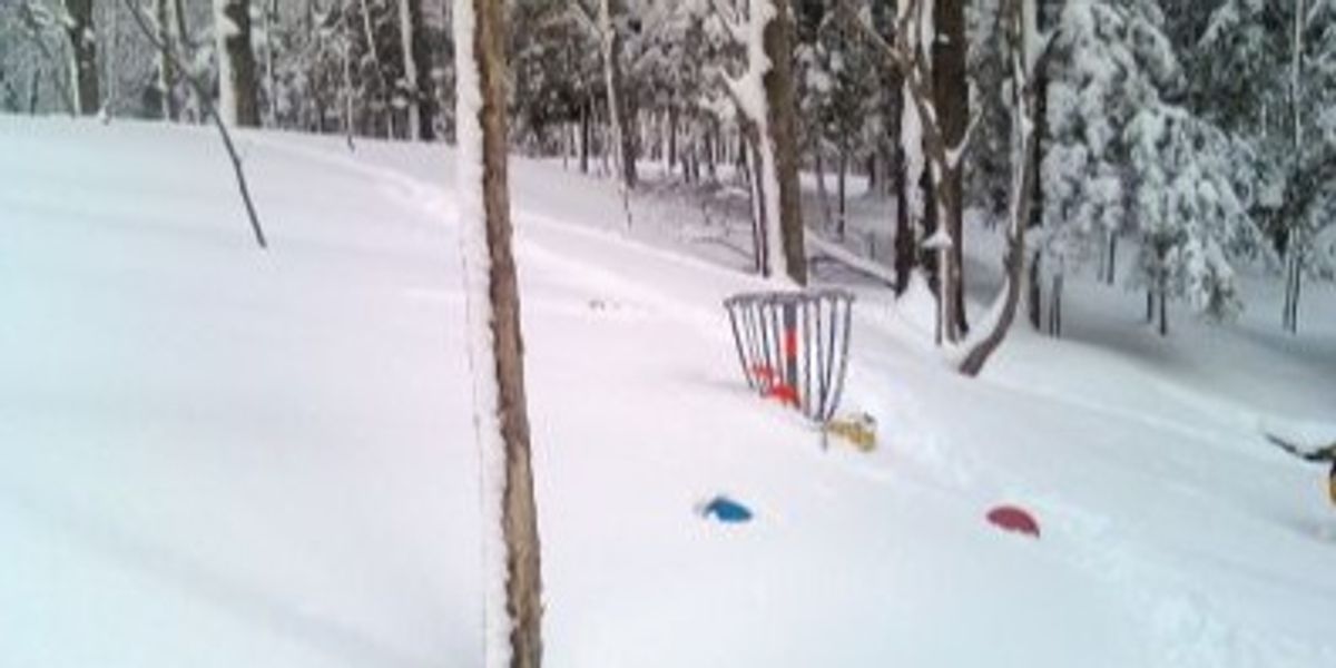 Freeze Your Disc Off VIII