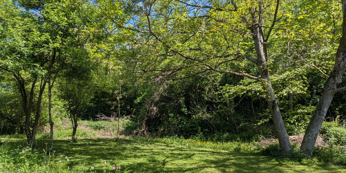 Spenden statt Schenken 2025