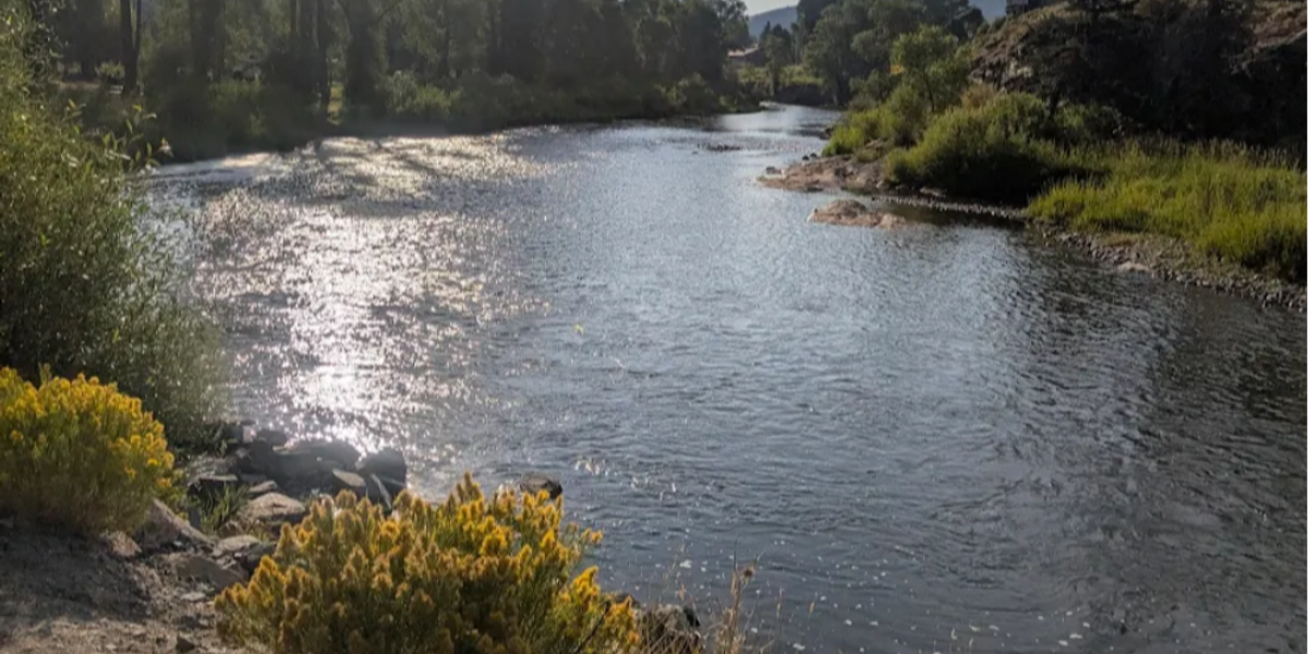 Pioneer Park Fire mitigation and cleanup