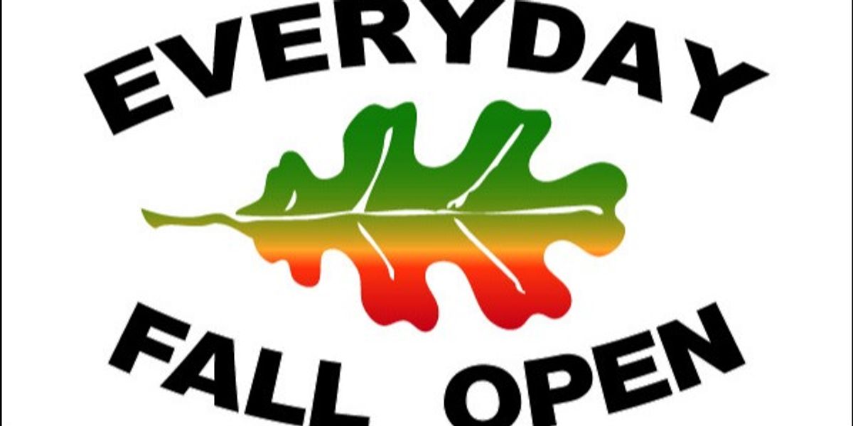 Everyday Fall Open sponsored by MVP Disc Sports