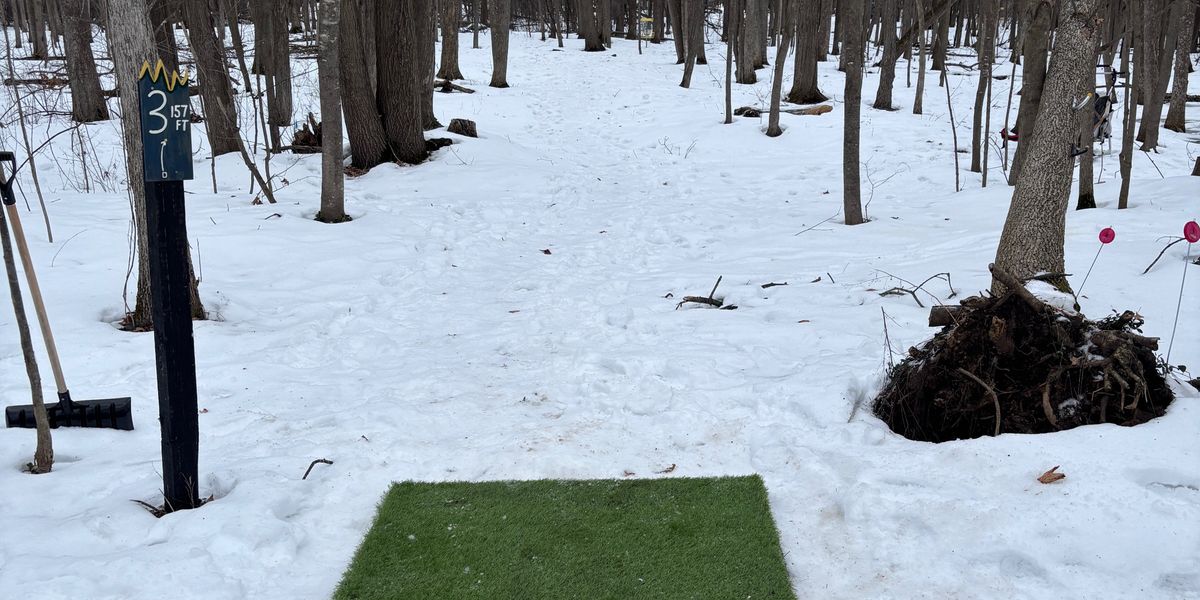 Maitland Woods Blizzard Bowl 4