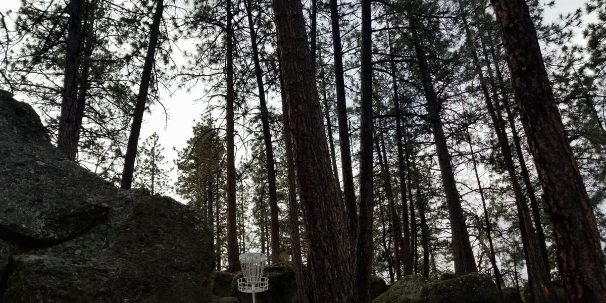 COWS #9 – Skyline / 7th Mountain – Supported by Innova