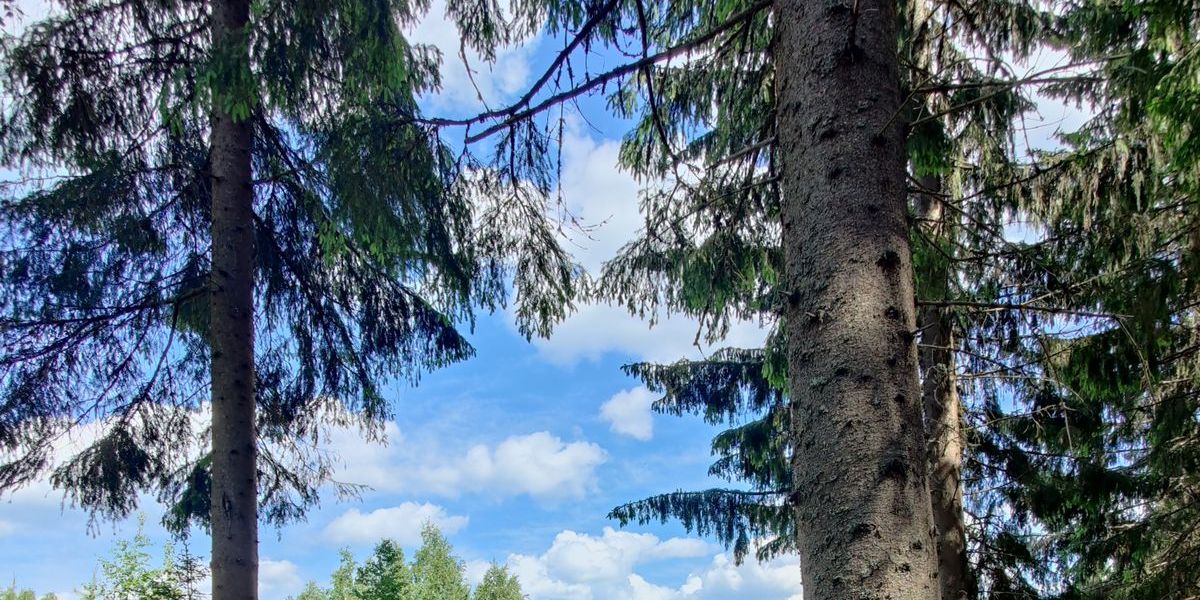 Itä-Suomen AM-tour 4/4 - Kitee