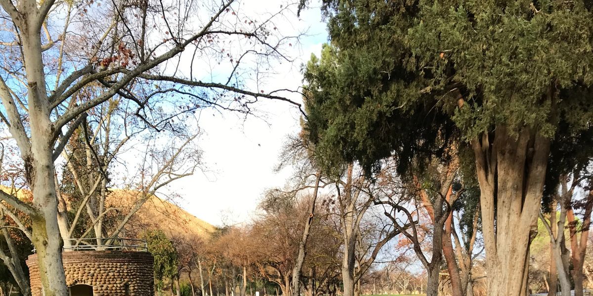 CVS Billy Goat 2026 @ Hart Park