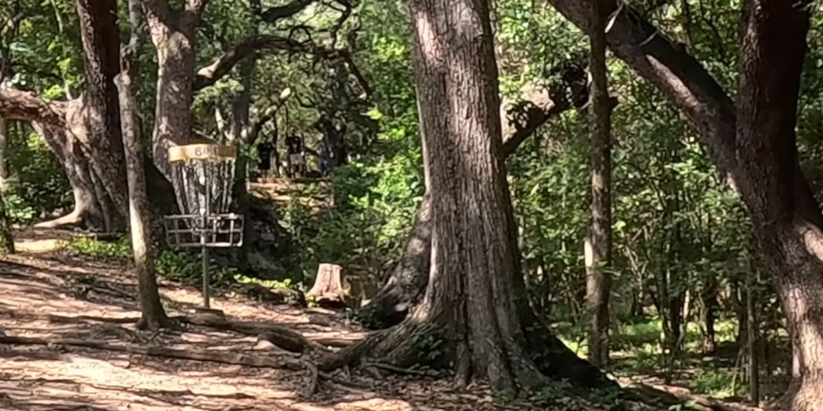 24/7 DISC GOLF - 24/7 Saturday fun!!!