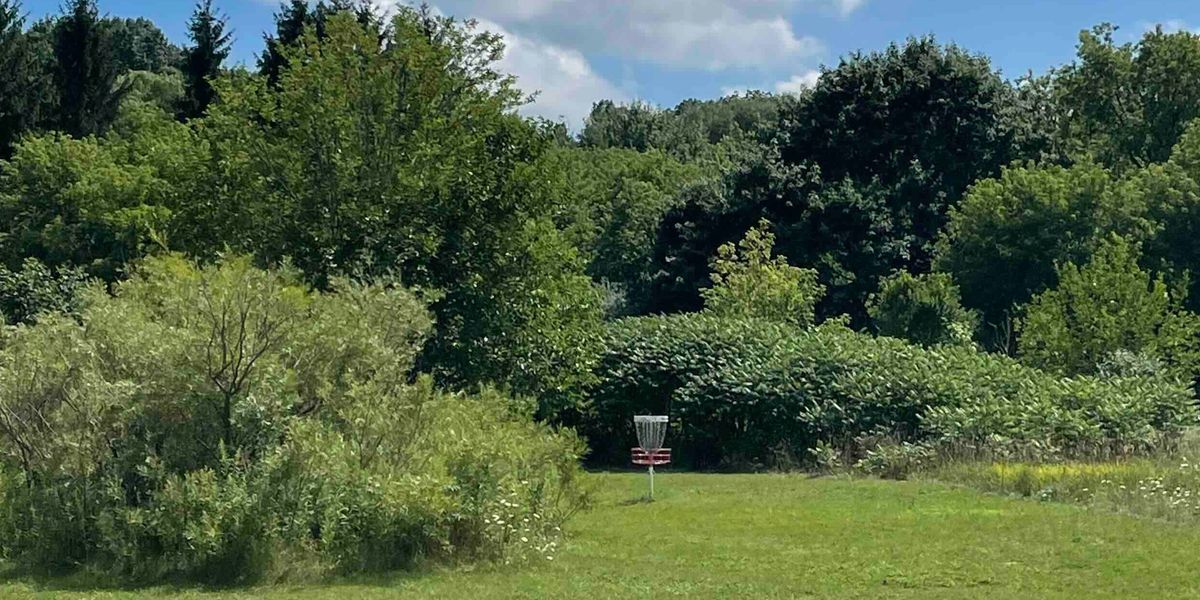 LDGA Random Doubles League