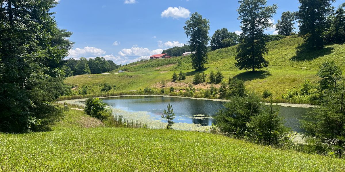 Redpoint development league - RedPoint Development league Week 2