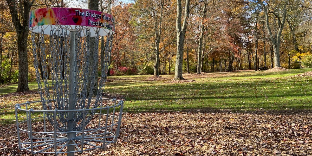 VFD Sanctioned Handicap League 2026