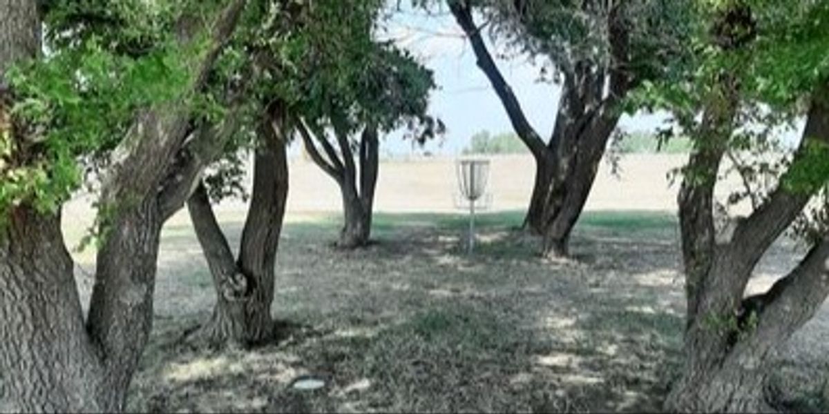Dam Disc League