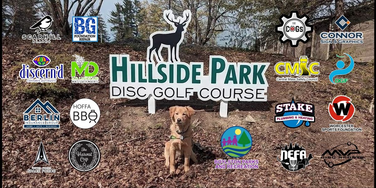 Sunday League at hillside 10am