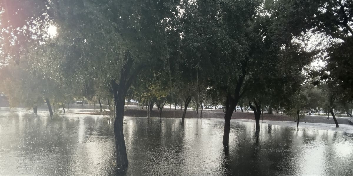 Bud’s Dub’s - Bud's Dubz