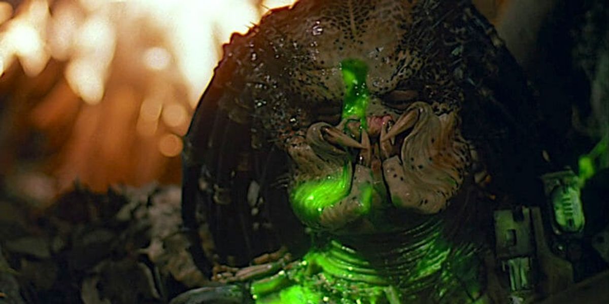 Hanns Park GlowBowl XVIII