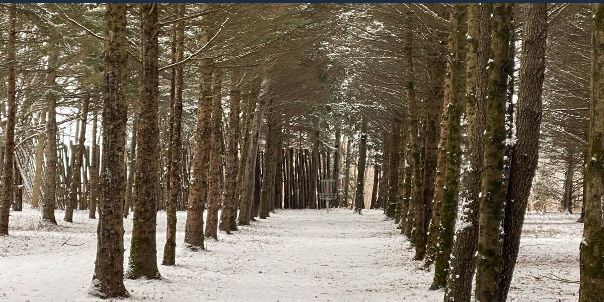 Winter Wizards 2024 - BIRDS RUINS