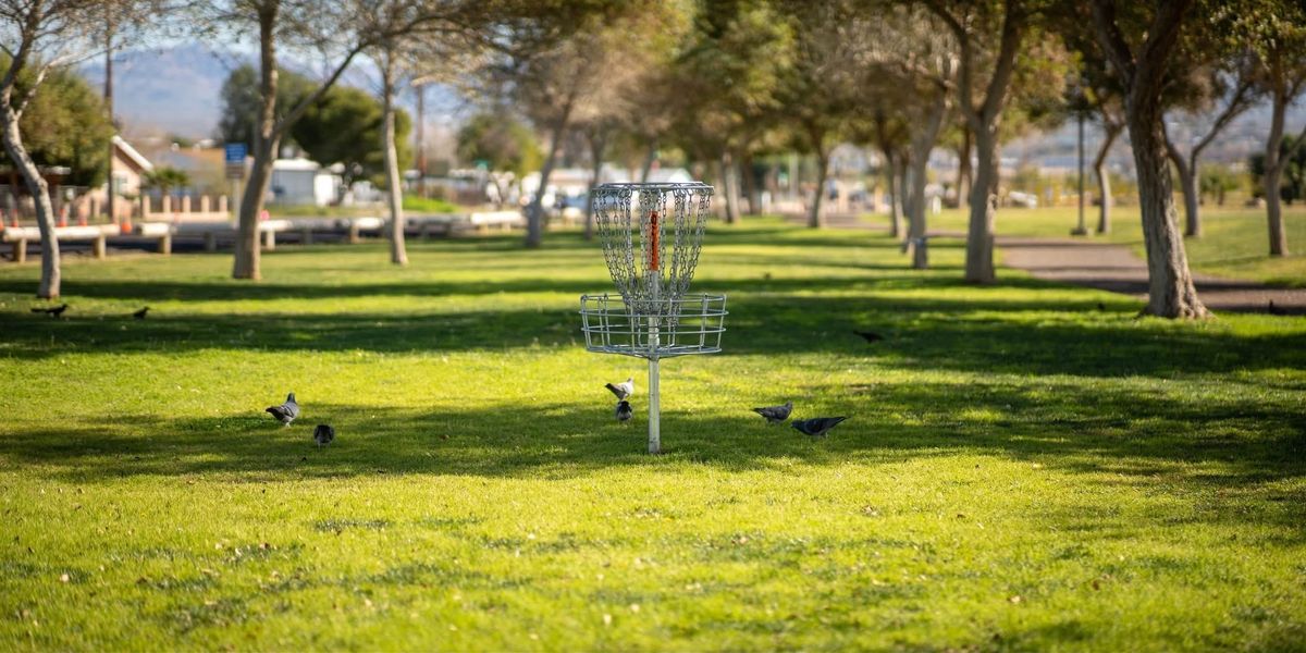 Riverview Disc Golf Club - Safari Sundays