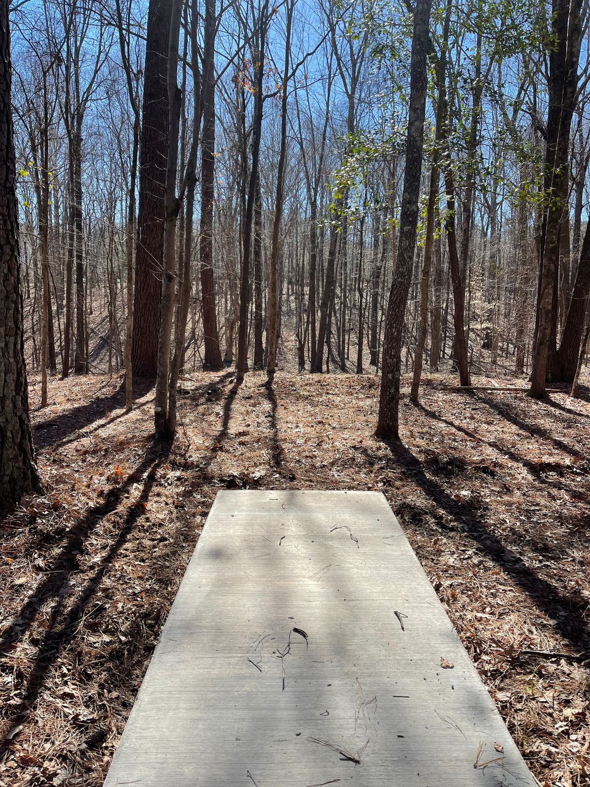 3’s tee pad