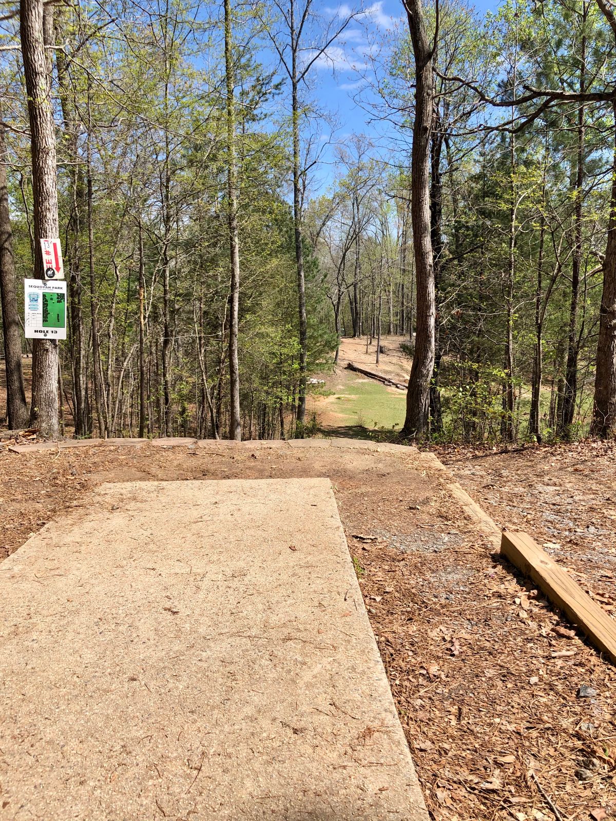 Tee 13