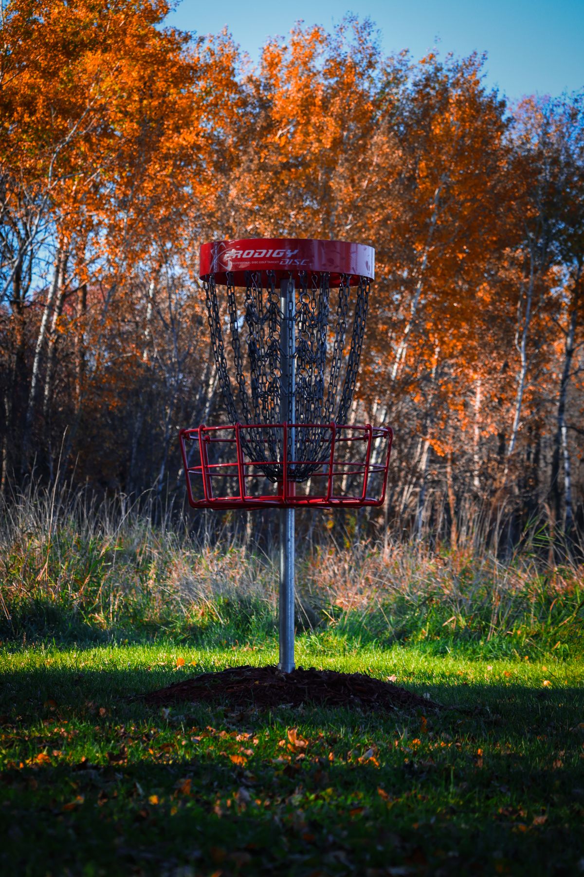 @ShelbyFramesTheDisc