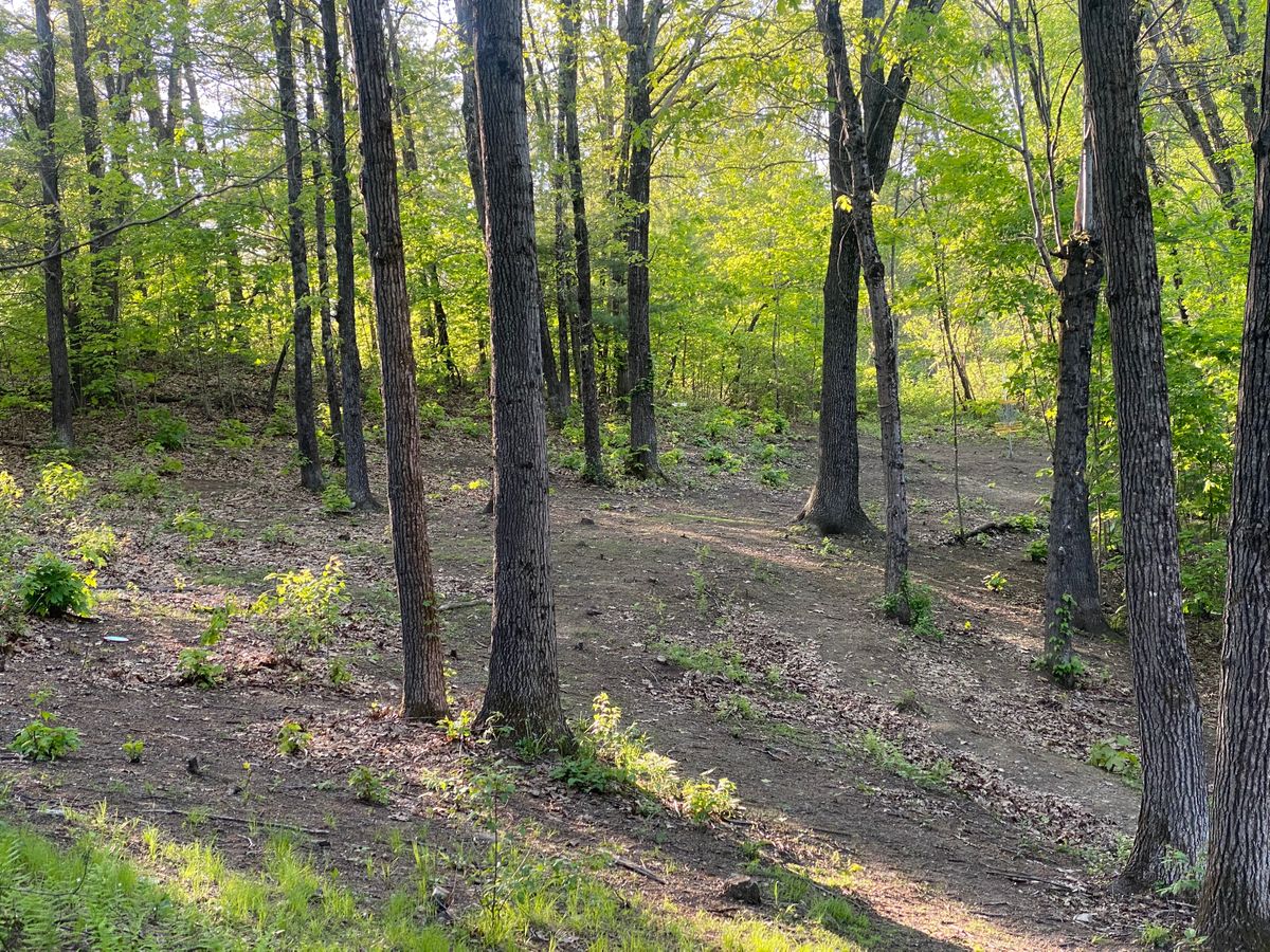 Hole 16 approach with basket on the right