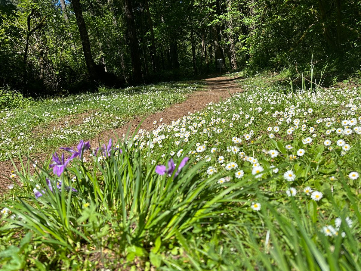 Hole 13, 05.06.25