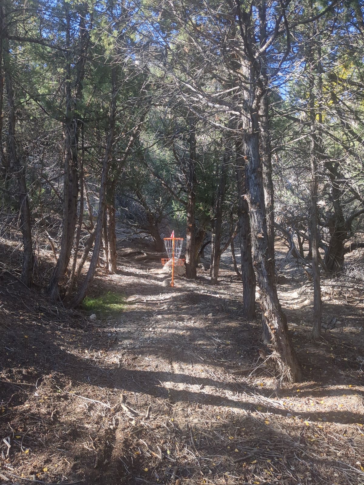 Hole 4