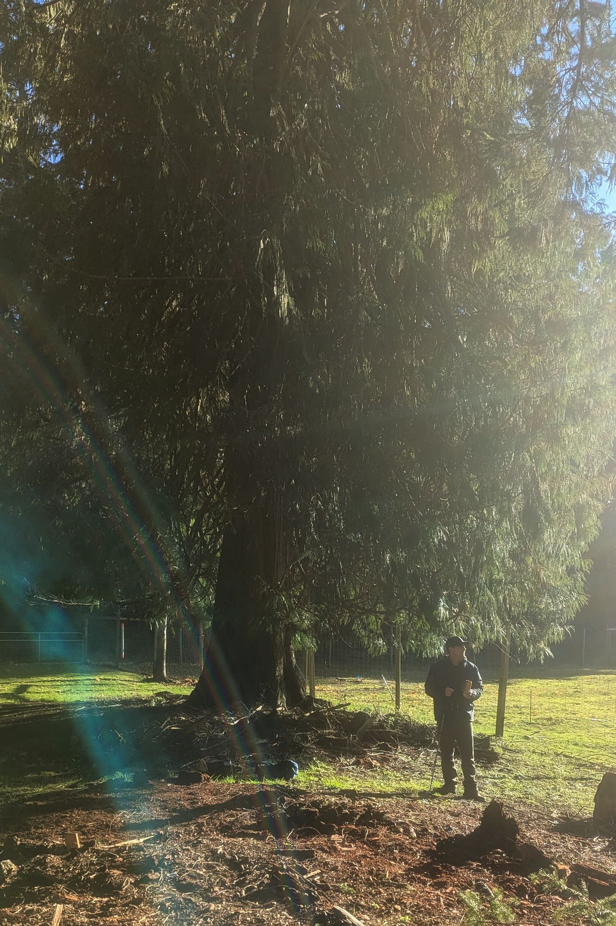 Tee area of Hole 12